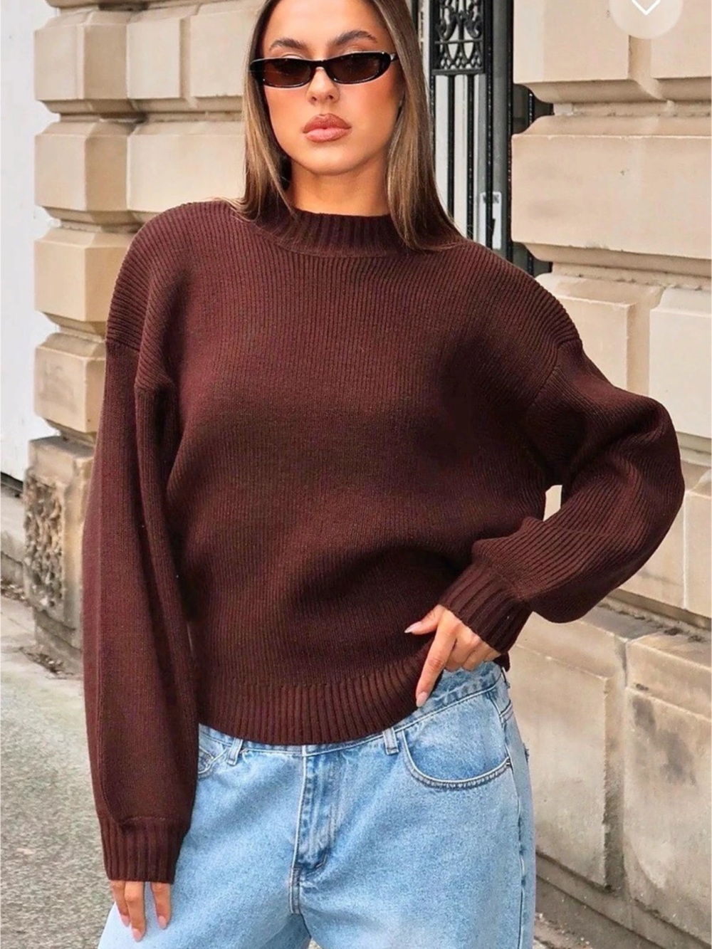 White Fox Ribbed Crewneck Sweater in Brown NWT